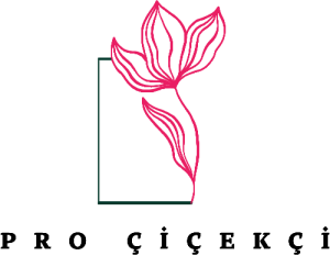 Pro Çiçekçi