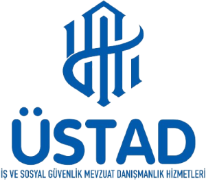 Üstad Danışmanlık