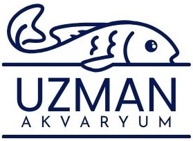 UZMAN AKVARYUM