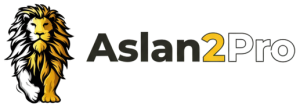 ASLAN 2 PRO
