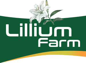 LILLIUM FARM