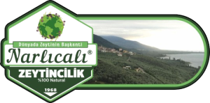 ZEYTİNİN BAŞKENTİ