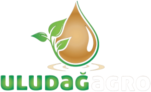 ULUDAĞ AGRO