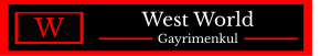 WEST WORLD GAYRİMENKUL