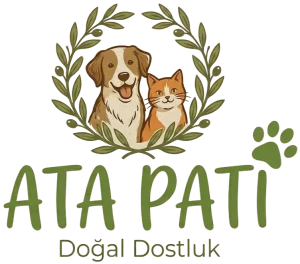 ATAPATİ